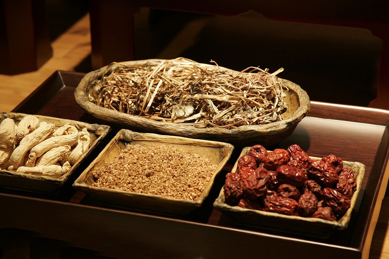 医疗医药最新动态，引领健康未来的关键力量