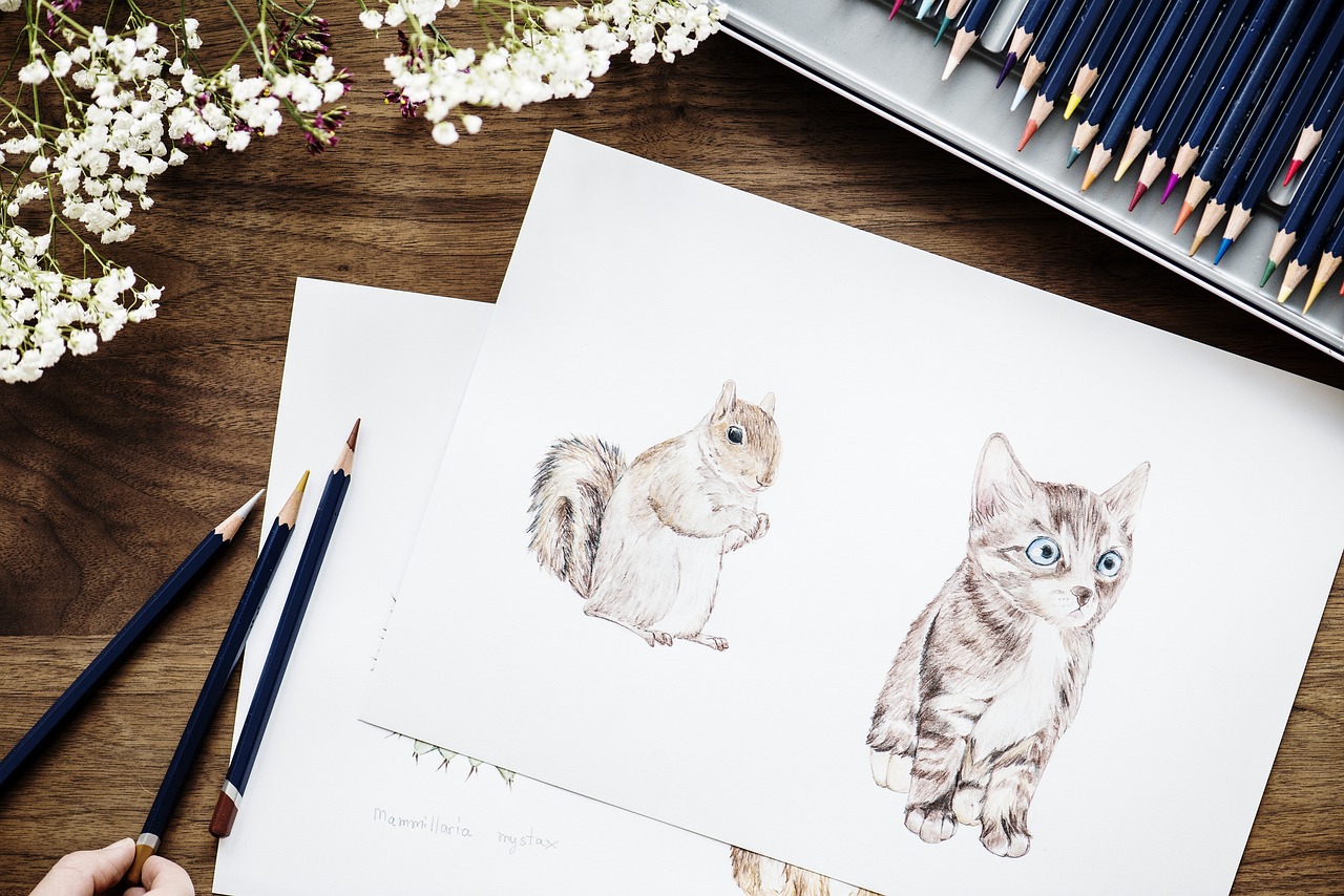 猫咪官方最新版网站，一站式猫咪爱好者的乐园探索