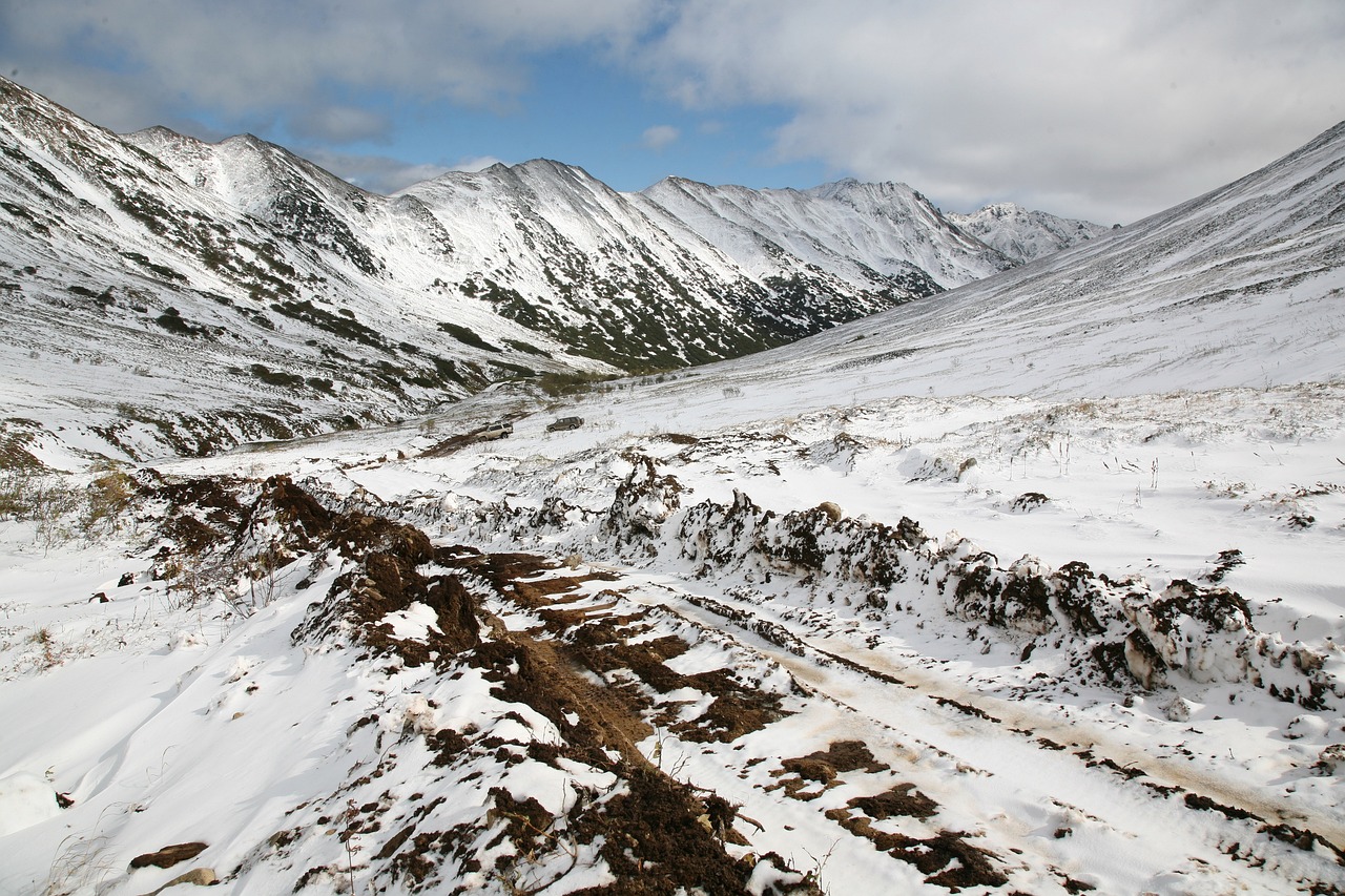 长白山雪岭最新魅力与探索之旅
