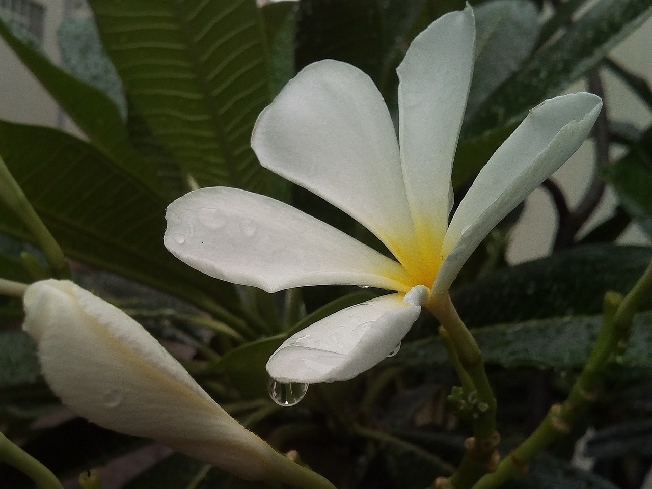 速华茂 第6页