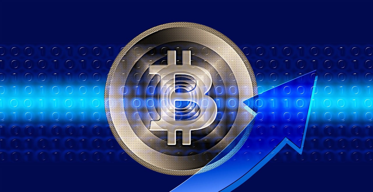 上海交易所最新上市股票概览及动态分析